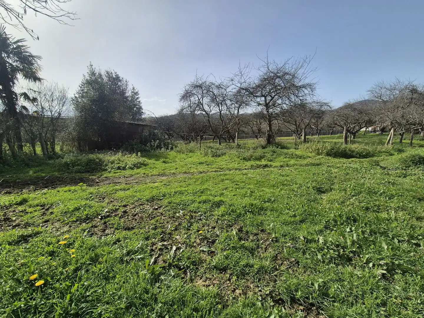 Residential land for sale in Grado, imagen 6