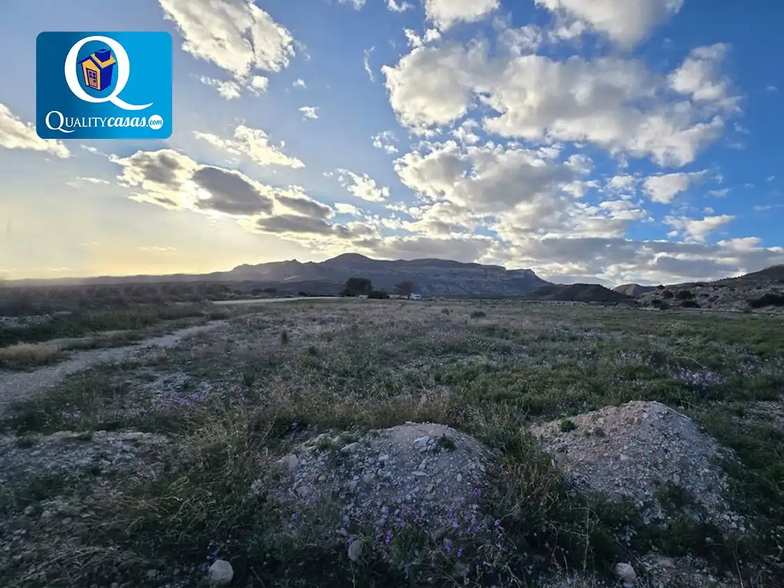 Terrain résidentiel à vendre à Agost, imagen 4