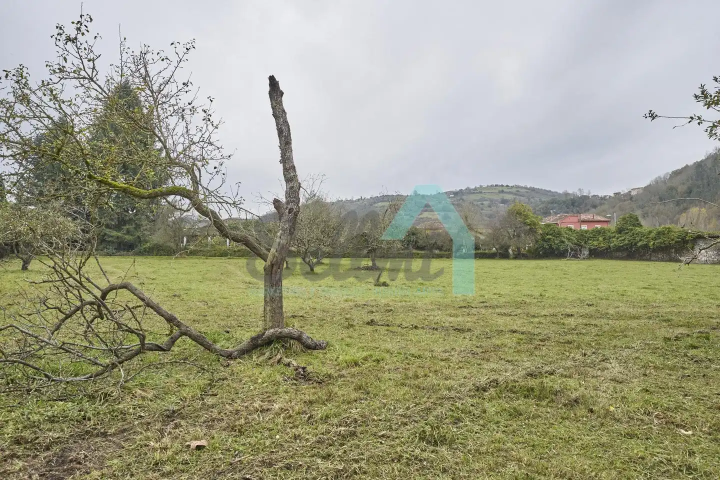Casa o chalet en venta en Oviedo  con Jardín privado, Parquet y Terraza
