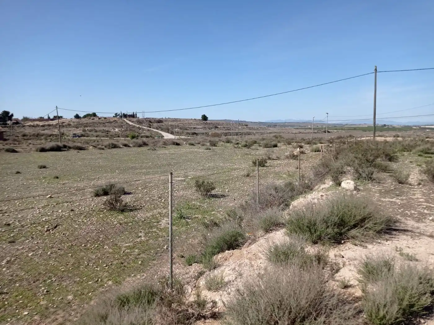 Rural land for sale in Polígono 18 Parcela 301, imagen 8