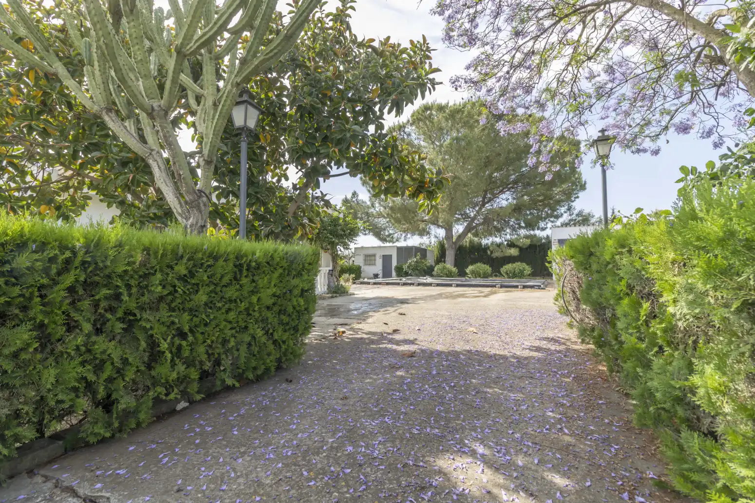 Jardín de Casa o chalet en venta en Carmona con Piscina