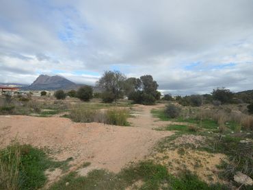 Terreno residencial en venta en Centro Urbano