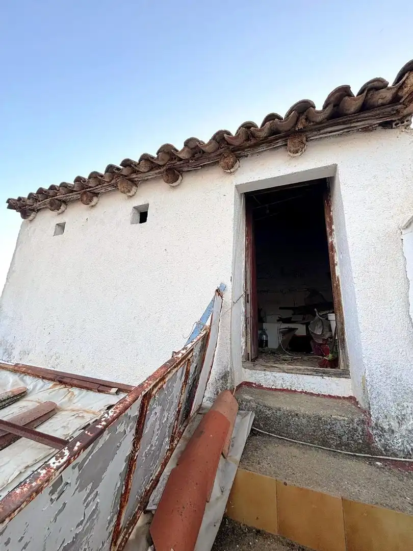 Vista exterior de Casa o xalet en venda en Alamillo amb Balcó