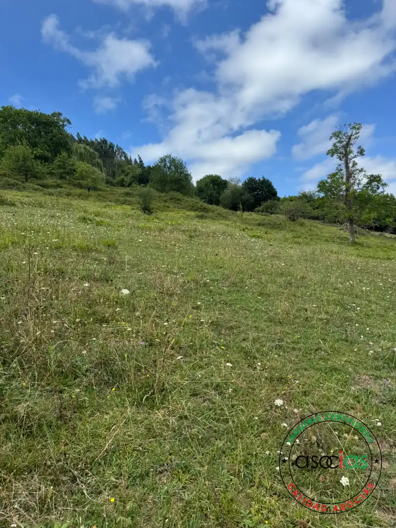 Terreny en venda en Villaviciosa