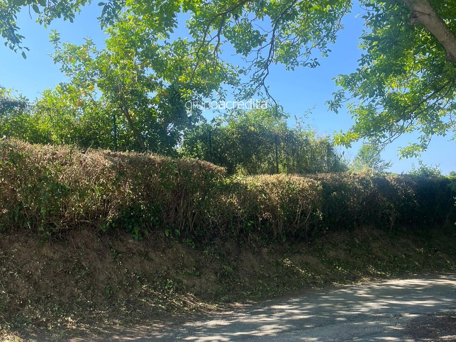 Land for sale in Oleiros