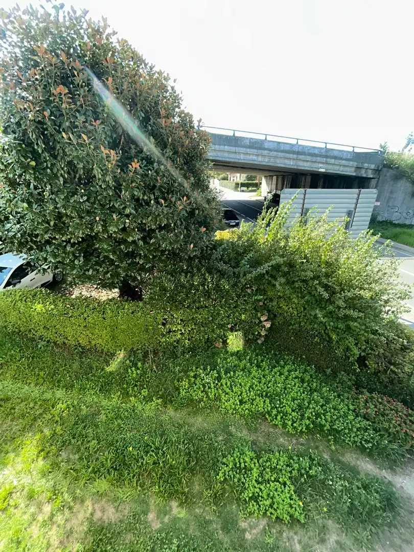 Casa amb jardí en venda a Rianxo, imagen 22