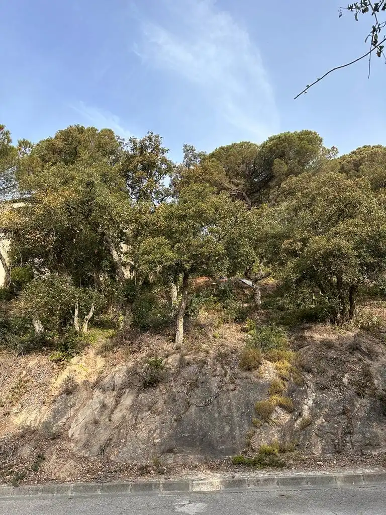 Terreno residencial en venta en Serra Brava, imagen 4