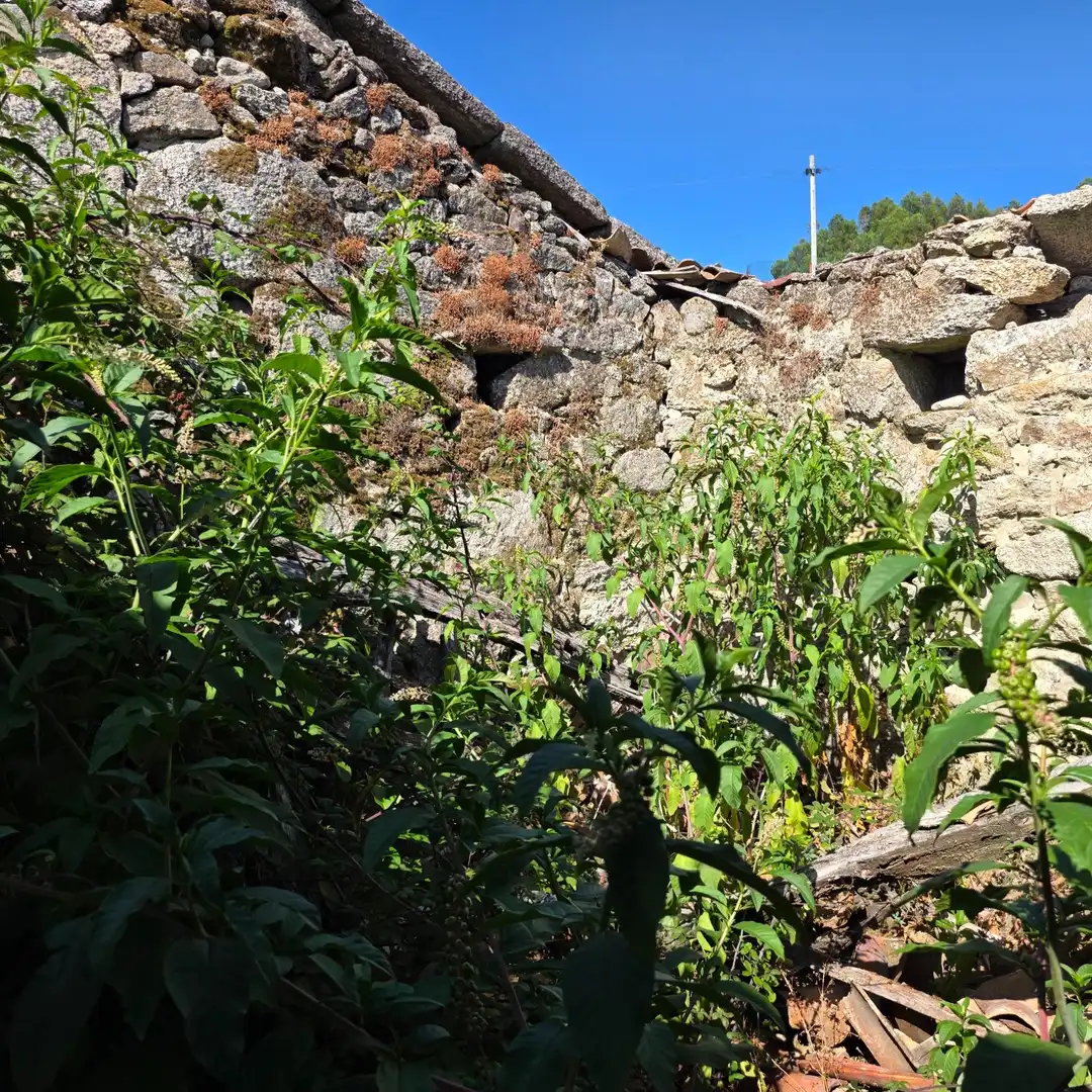 Haus zum Verkauf in Carretera de Fornelos, Pardalongas 5, imagen 7