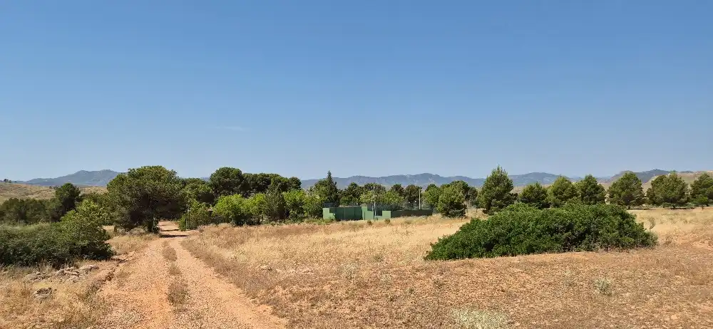 Terreno en venta en Hellín