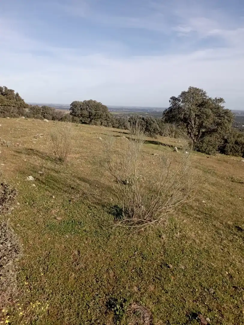 Terreni e lotti in vendita a San Román de los Montes, imagen 7