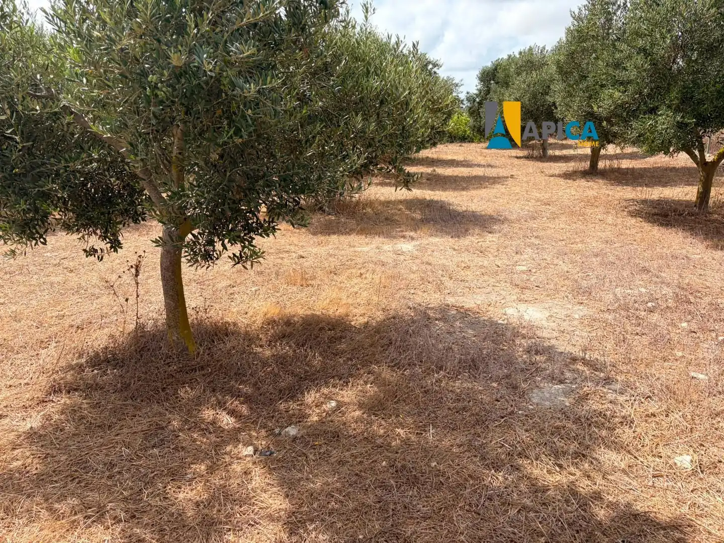 Rural land for sale in Los Franceses – La Vega, imagen 10