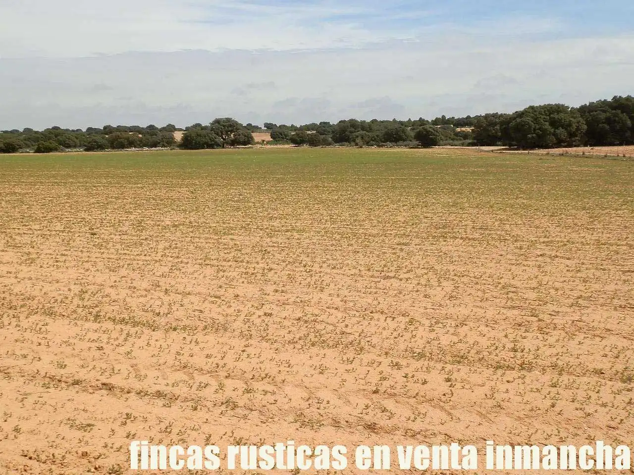 Terreni e lotti in vendita a Villarrobledo, imagen 21