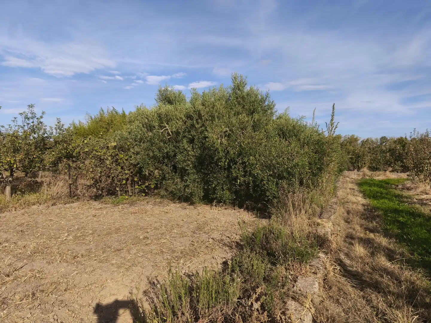 Terreni e lotti in vendita a La Portalada - Varea, imagen 33