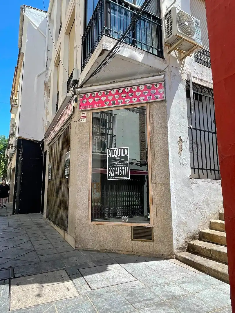 Geschaftsraum zur Miete in Plasencia mit Klimaanlage
