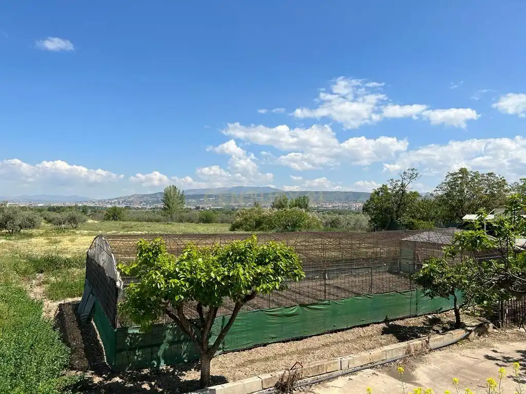 Terreno rústico en venta en COMPUERTA DEL HORNO POLIGONO 1, imagen 22