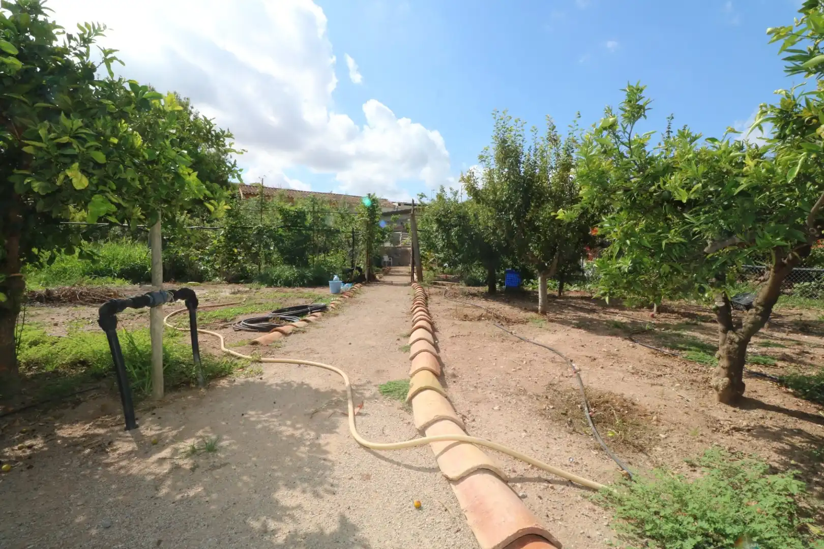 Finca rústica en venta en Gilet
