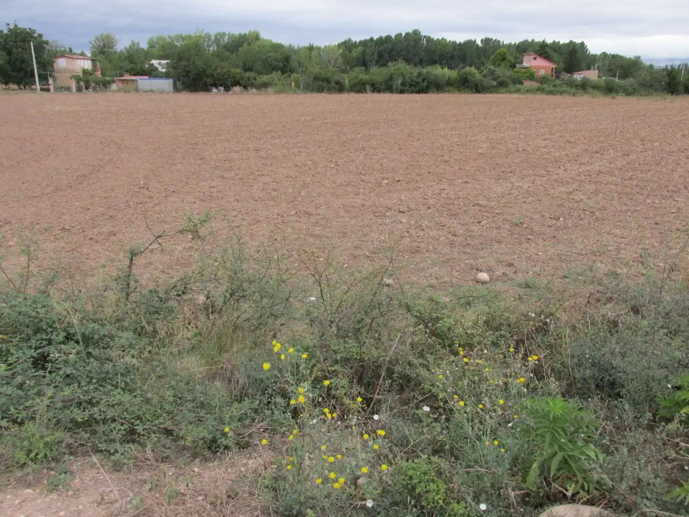 Rural land for sale in Camino Polígono 12, imagen 2