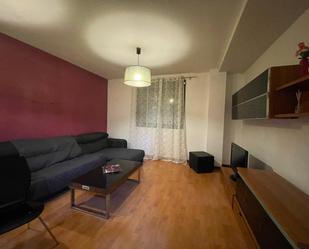 Living room of Flat to rent in Málaga Capital  with Air Conditioner, Parquet flooring and Furnished