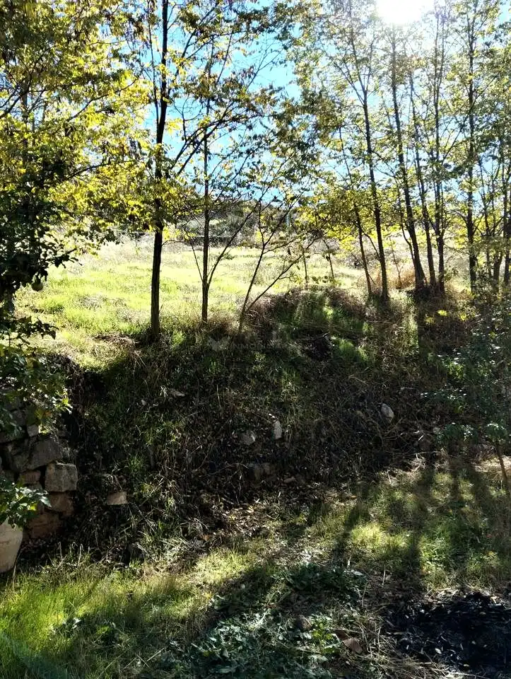 Terreny industrial en venda en Camarena de la Sierra