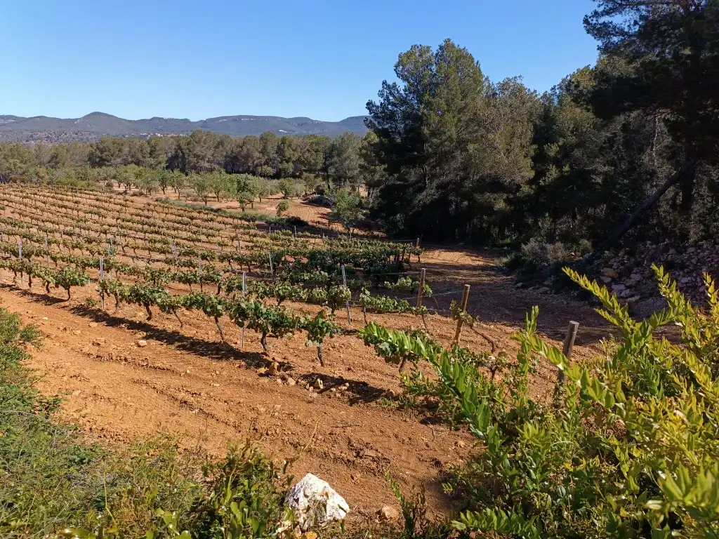 Rustikales Grundstück zum Verkauf in Sant Julià, imagen 10