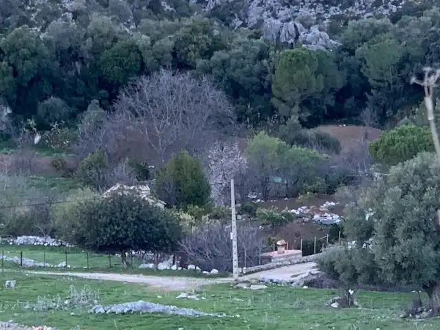 Terrain rustique à vendre à Benaocaz, imagen 5