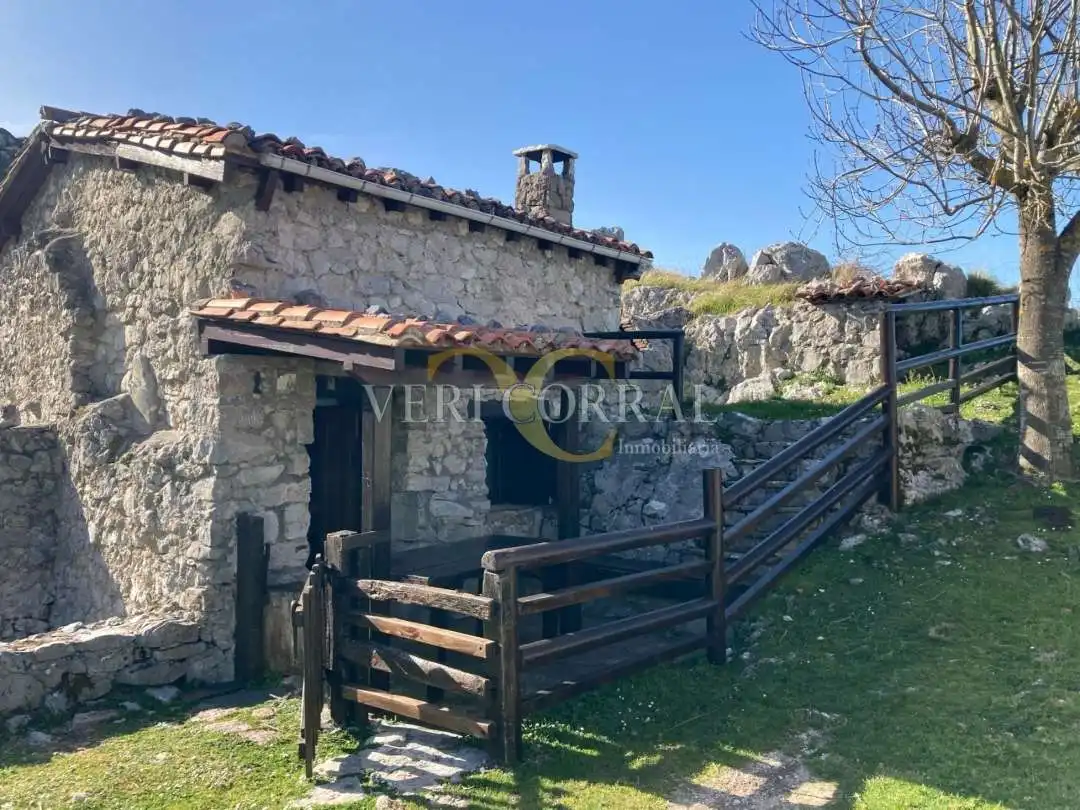 Vista exterior de Casa o chalet en venta en Peñamellera Alta con Calefacción y Amueblado