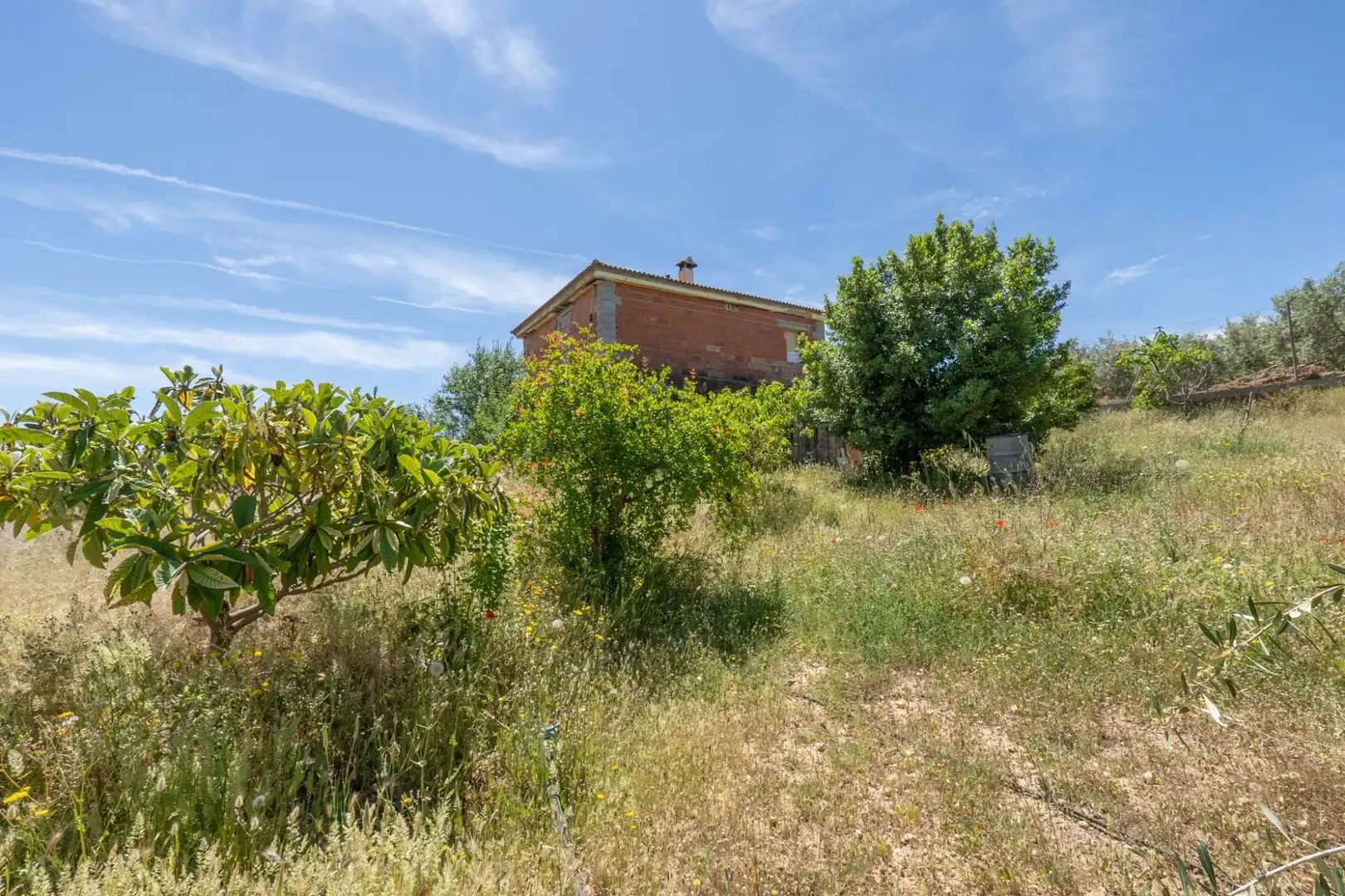 Casa o xalet en venda a Moraleda de Zafayona