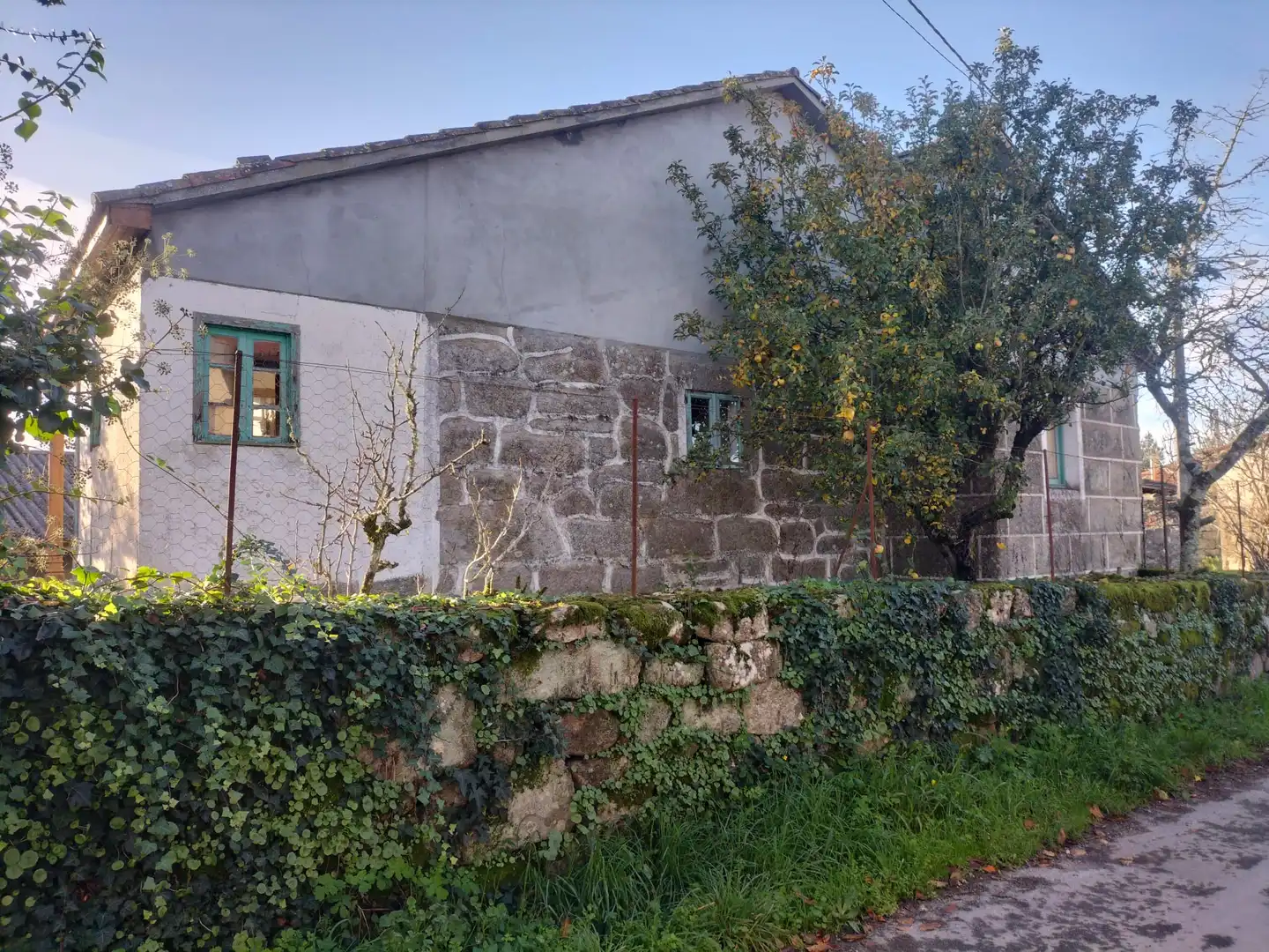Exterior view of Country homes for sale in Amoeiro  with Private garden