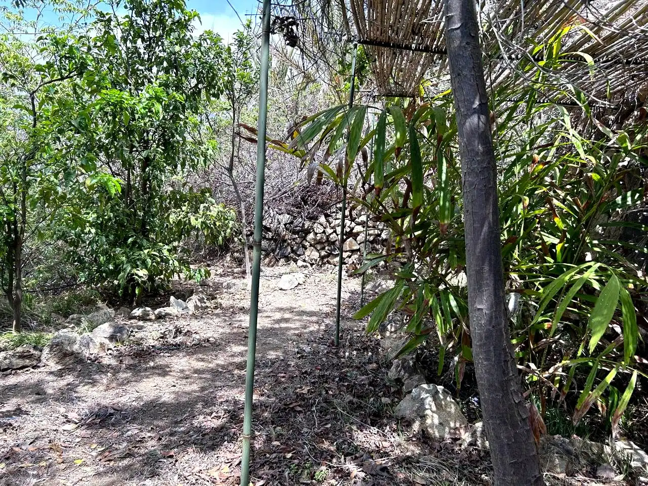 Finca rústica en venta en Vallehermoso con Aire acondicionado, Calefacción y Jardín privado