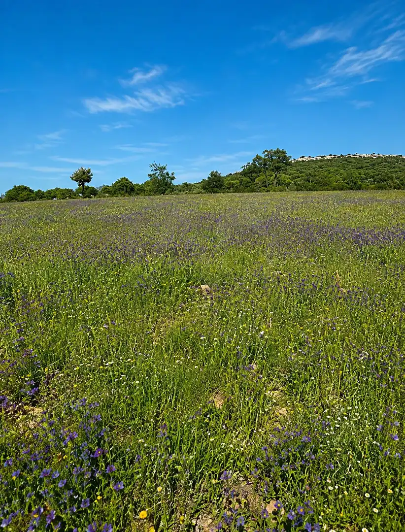 Rural land for sale in Navahermosa, imagen 20