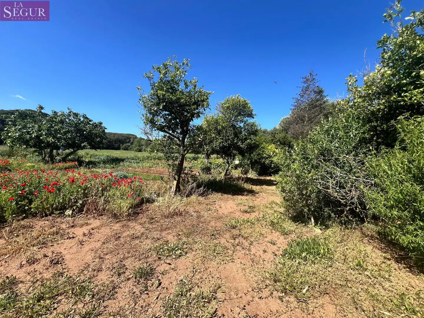 Terreni e lotti in vendita a Vejer