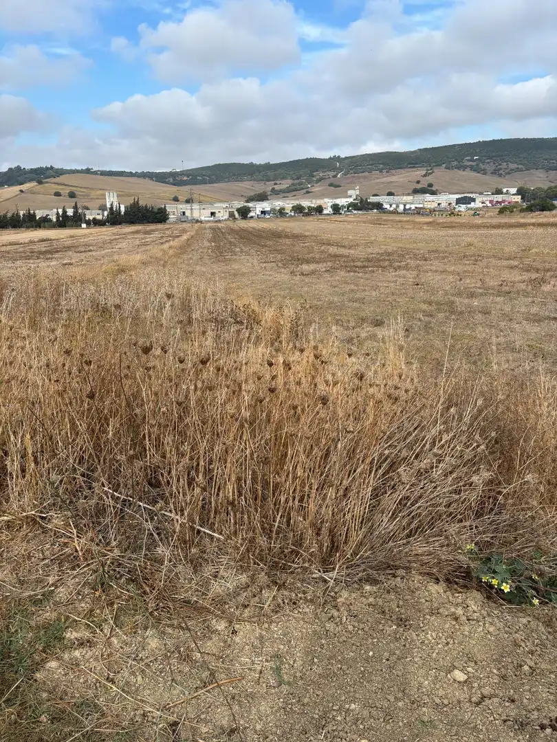 Wohnbaugrundstück zum Verkauf in Vejer, imagen 2
