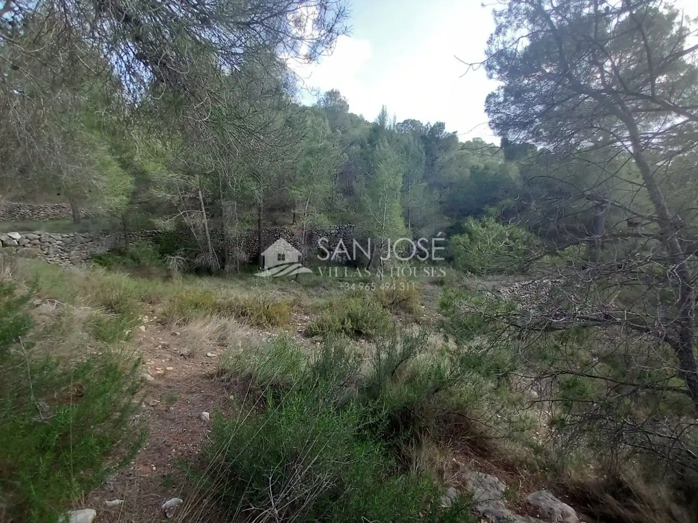 Terrenys i solars en venda a Monóvar  / Monòver, imagen 20