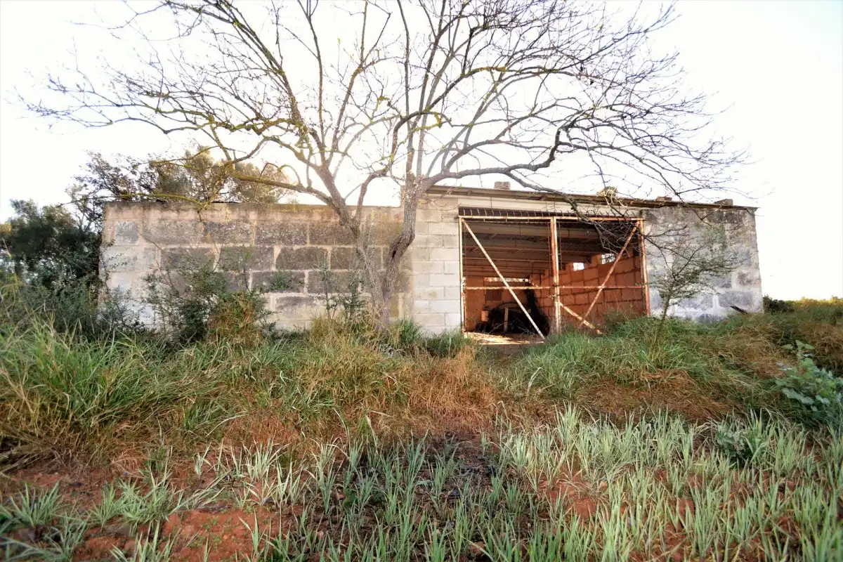 Maison rustique à vendre à Llubí, imagen 7
