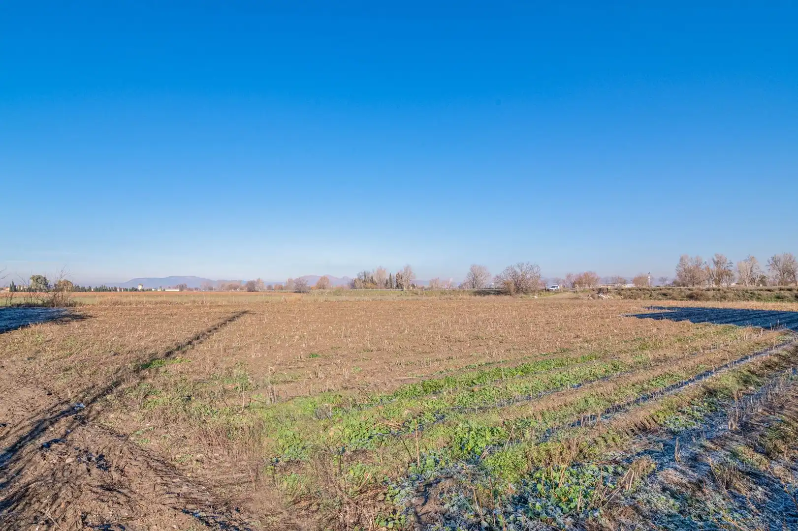 Land for sale in Granada