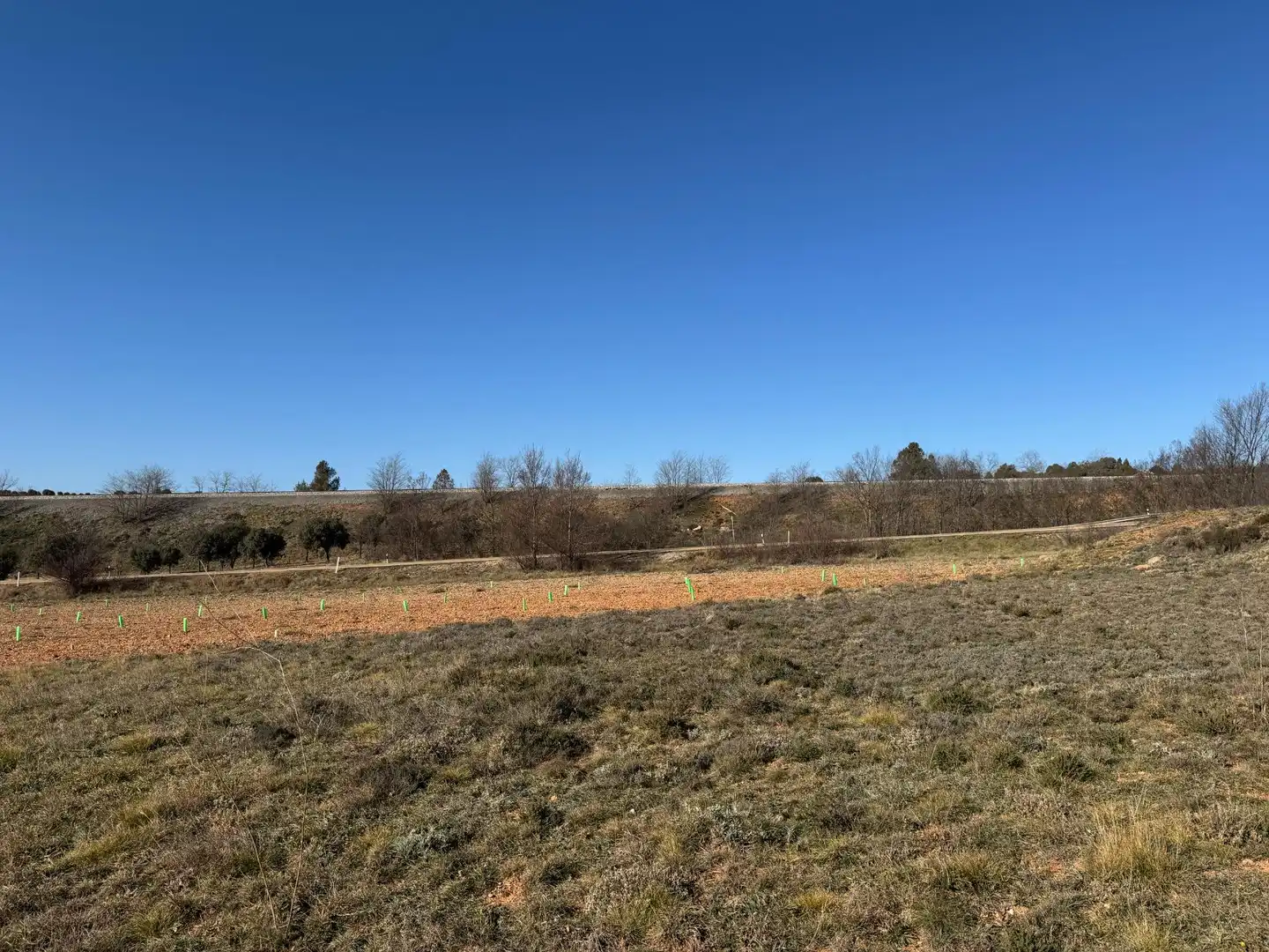 Terreno en venta en Albentosa
