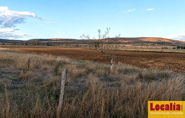 Terreno en Venta en De La Seca en Pomar de Valdivia