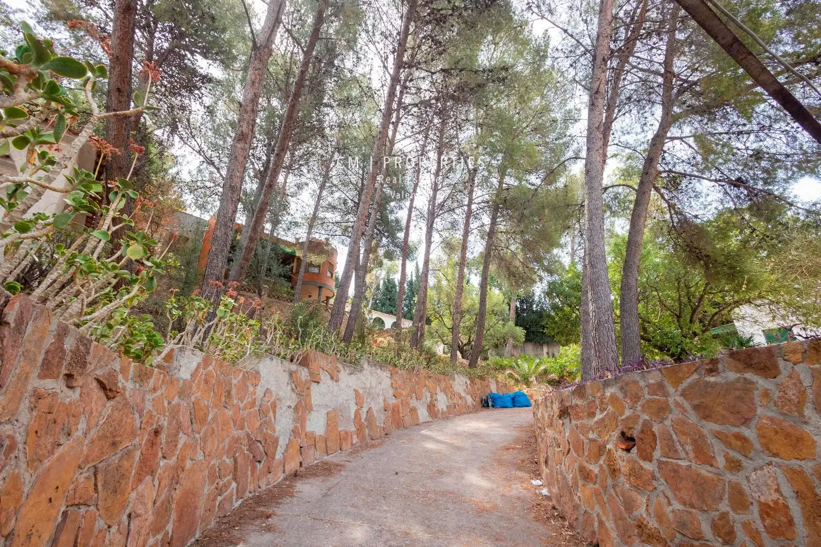 Jardín de Casa o chalet en venta en Náquera con Aire acondicionado, Terraza y Piscina