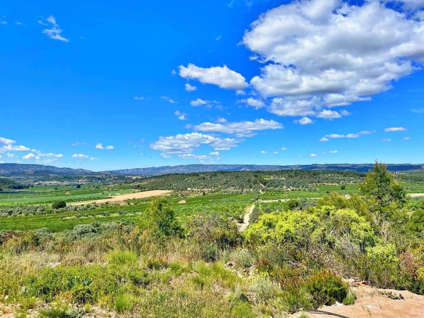 Houses for sale in Flix