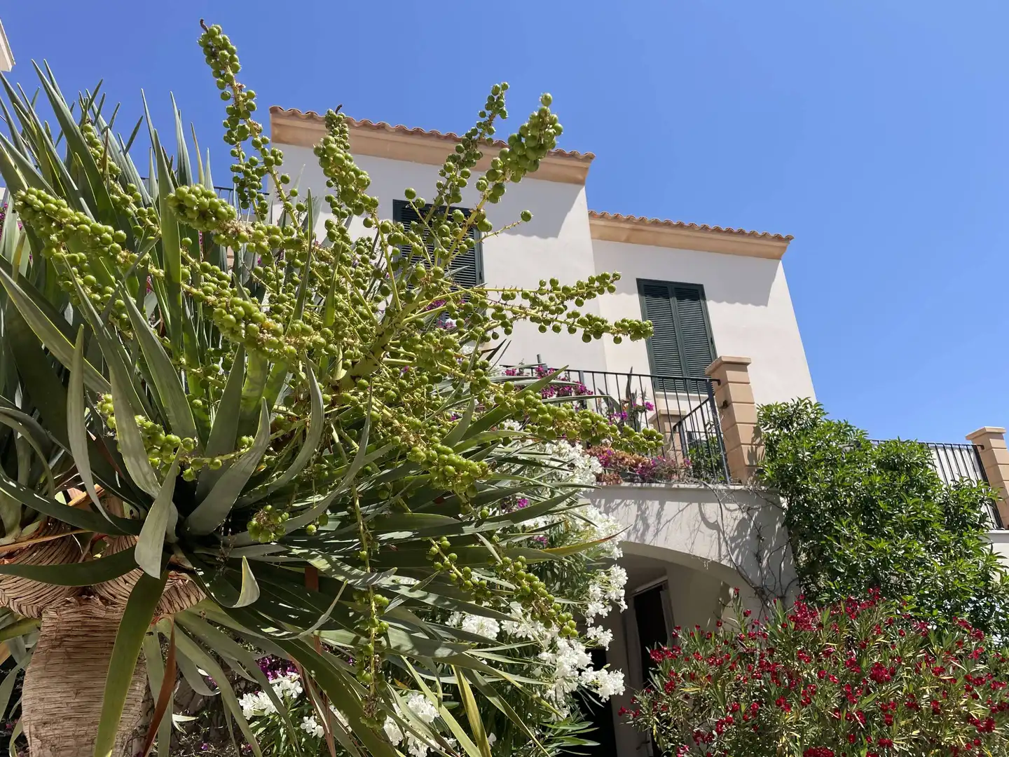Vista exterior de Pis en venda en Santanyí amb Terrassa