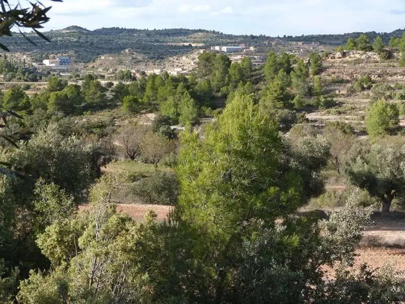 Finca rústica en venta en Valjunquera