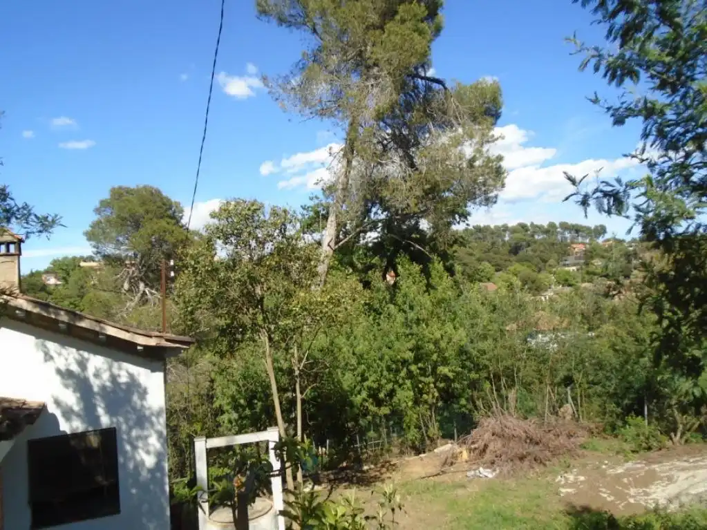 Terreno rustico in vendita a C/ Acacies, imagen 7