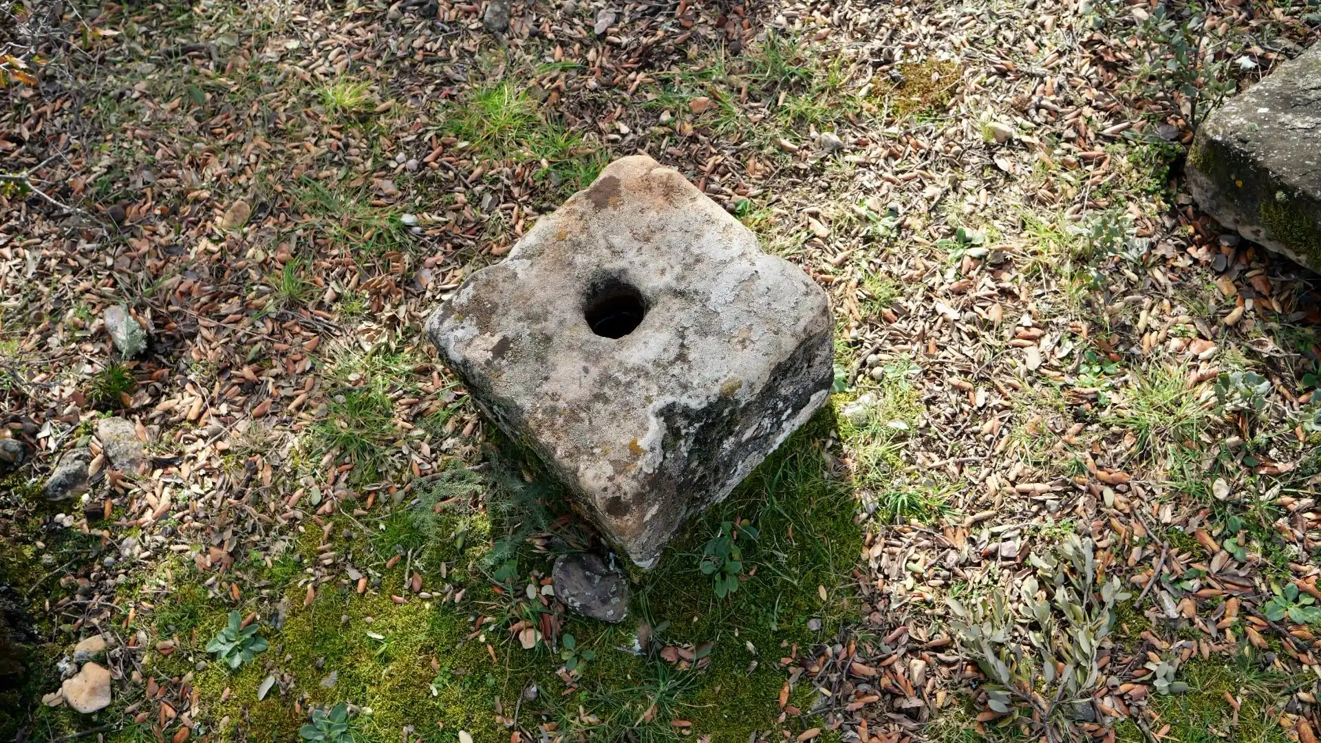 Garden of Land for sale in Arbancón