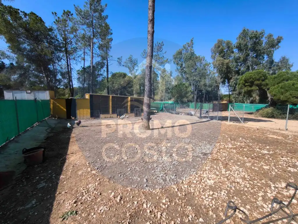 Country homes for sale in Gibraleón, Huelva