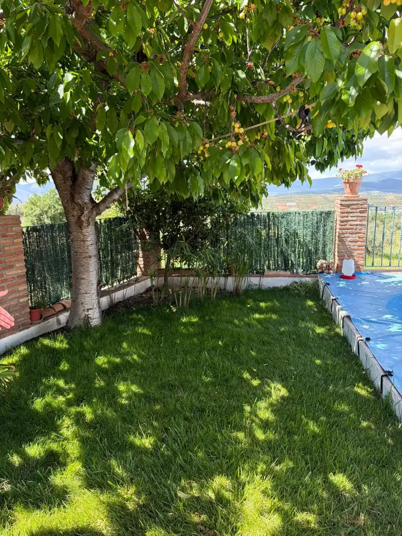 Jardí de Casa o xalet en venda en Nigüelas amb Jardí privat i Piscina comunitària