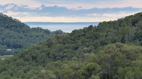 Foto 4 de Àtic en venda a Carrer de Ses Lavandes, Santa Eulària, Illes Balears