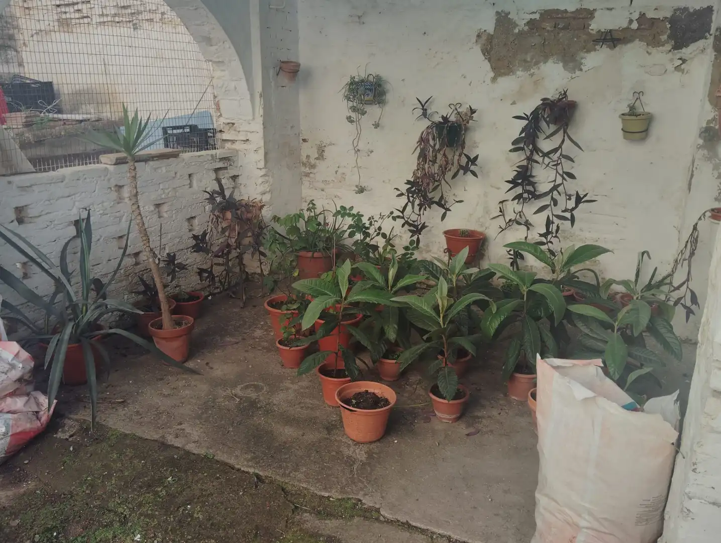 Casa con giardino in vendita a Brenes, imagen 22