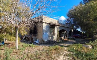 Vista exterior de Casa o xalet en venda en Elche / Elx amb Jardí privat i Terrassa