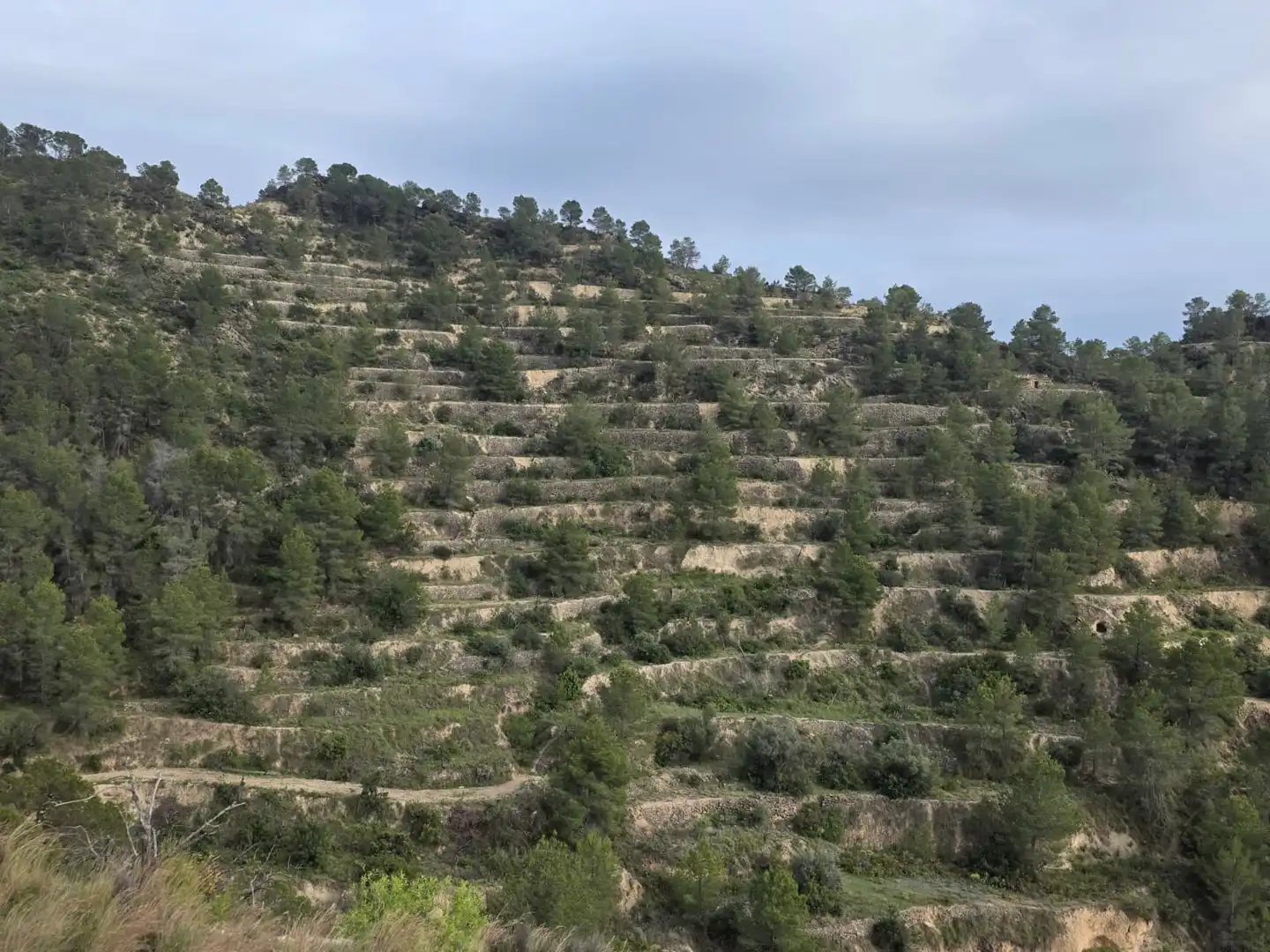 Terreno en venta en Sella