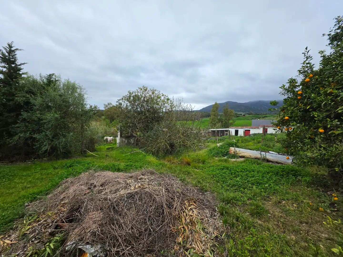 Terreni e lotti in vendita a La Granja - La Colina - Los Pastores, imagen 14